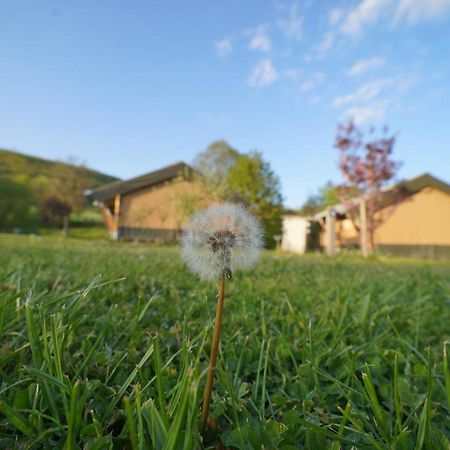 Safaritent Op Camping Berkel Bockholtz Zewnętrze zdjęcie