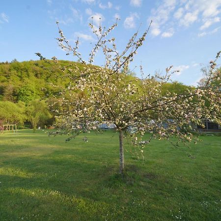 Safaritent Op Camping Berkel Bockholtz Zewnętrze zdjęcie